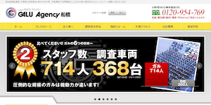 総合探偵社ガルエージェンシー船橋の公式サイト(https://www.galu.co.jp/)より引用-みんなの名探偵