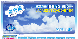 MS探偵社の公式サイト(http://www.media-support-114.com/ms-t.html)より引用-みんなの名探偵