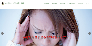 総合探偵社